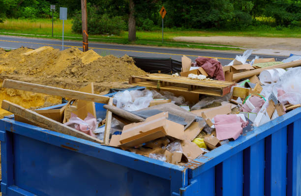 Best Shed Removal  in Palo, IA